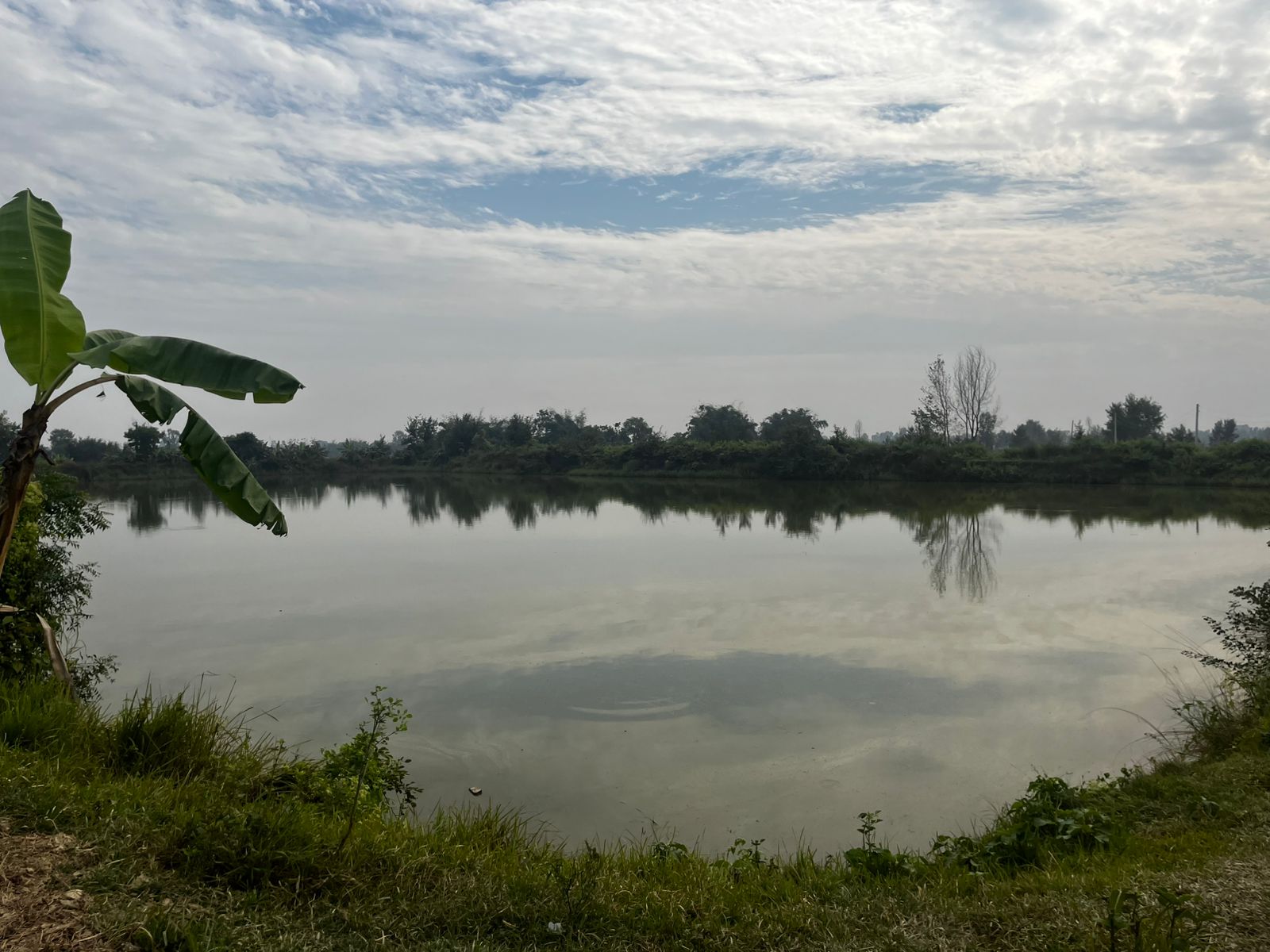Patalaya -Fish Farm